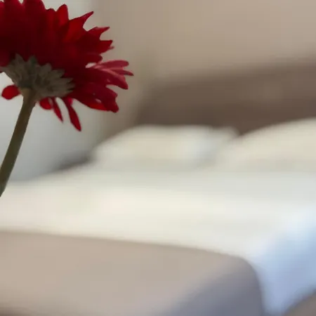 Park Tirana 3* Yzberishti