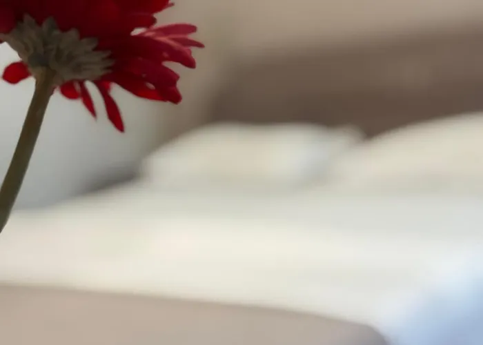 Park Tirana 3* Yzberish